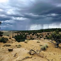 Old Spanish Trail Ranch images 3