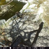 Old Spanish Trail Ranch images 6