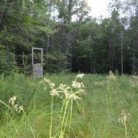 Eastern Marathon County Hunting Buildable Property images 5