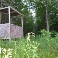 Eastern Marathon County Hunting Buildable Property images 6