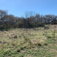 48 acres with electric for sale near menard  tx images 2