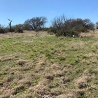 48 acres with electric for sale near menard  tx images 3