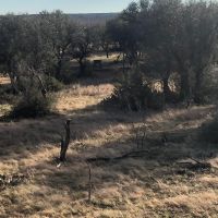 48 acres with electric for sale near menard  tx images 5