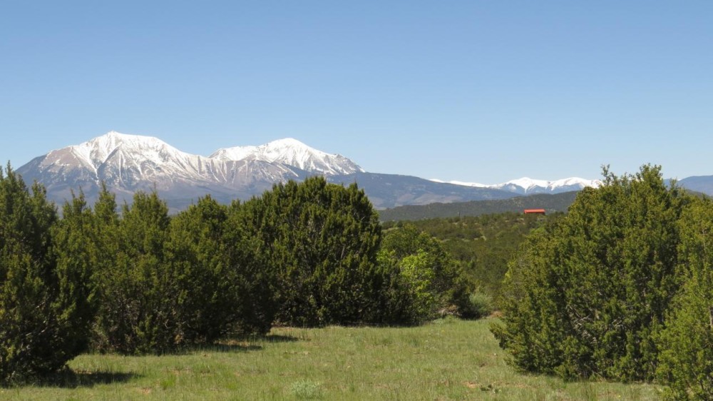 82 Silver Spurs Ranch featured image