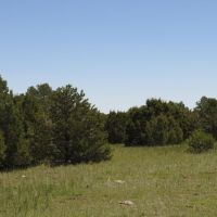 82 Silver Spurs Ranch images 3