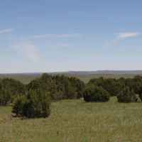 82 Silver Spurs Ranch images 4