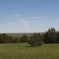 82 Silver Spurs Ranch images 5