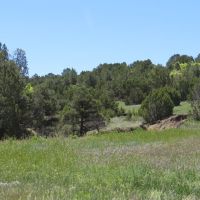 82 Silver Spurs Ranch images 6