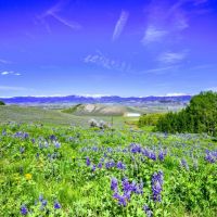 Aspen Hollow Retreat images 5