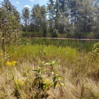 Hunting Lodge &nbsp; Recreational Land For Sale in Alcona County  MI images 4