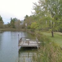 Hunting Lodge &nbsp; Recreational Land For Sale in Alcona County  MI images 5
