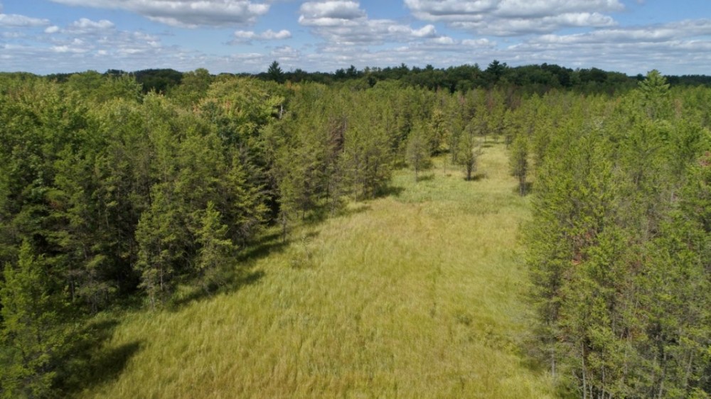 Hunting Haven For Sale in Adams County  WI featured image
