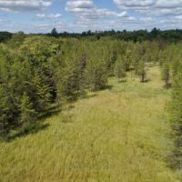 Hunting Haven For Sale in Adams County  WI