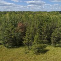 Hunting Haven For Sale in Adams County  WI images 2