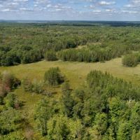 Hunting Haven For Sale in Adams County  WI images 3