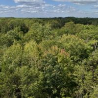 Hunting Haven For Sale in Adams County  WI images 5