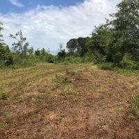 10-030-scott-tract