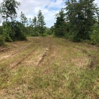10-030-scott-tract images 4