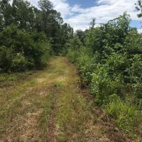 10-030-scott-tract images 5