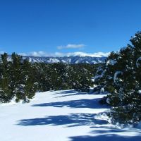 7 Milligan Ranch