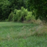 East Tennessee Unrestricted Land For Sale Greene County TN images 4