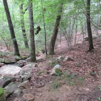 08-010-sand-mountain-west images 2