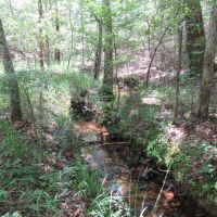 08-010-sand-mountain-west images 6
