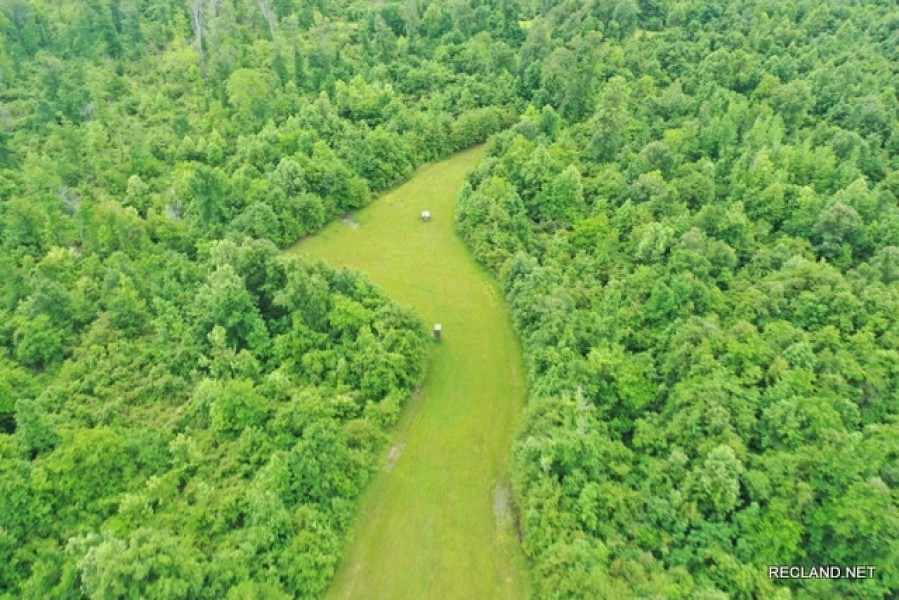 484 ac - Premium Deer Hunting Tract - Price Reduced featured image
