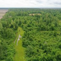 484 ac - Premium Deer Hunting Tract - Price Reduced images 4