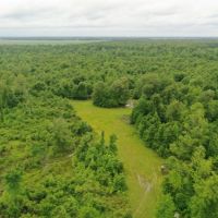 484 ac - Premium Deer Hunting Tract - Price Reduced images 6