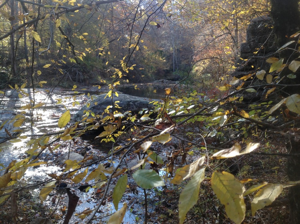 22-125-jacks-creek featured image
