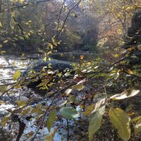 22-125-jacks-creek