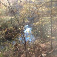 22-125-jacks-creek images 2