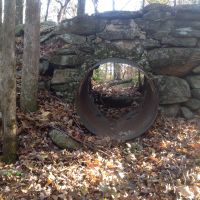 22-125-jacks-creek images 3