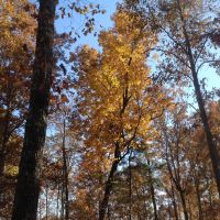 22-125-jacks-creek images 6