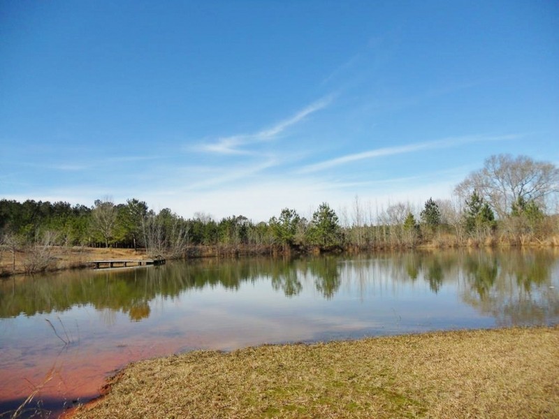 Home  Lodge  Hunting Land for Sale Tylertown  MS Near LA featured image
