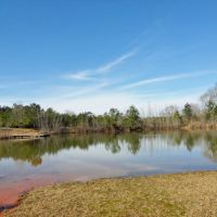 Home  Lodge  Hunting Land for Sale Tylertown  MS Near LA