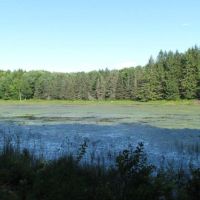 40 acres bordering State Forest in German NY 465 N. End Road images 3