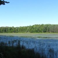 40 acres bordering State Forest in German NY 465 N. End Road images 2