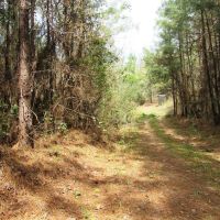 04-015-mulberry-hills-hunting-retreat images 3