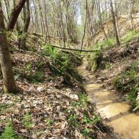 04-015-mulberry-hills-hunting-retreat images 5