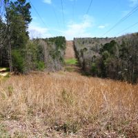 04-015-mulberry-hills-hunting-retreat images 6