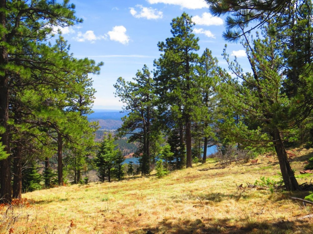 5 The Woods at Monument Lake featured image