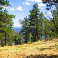 5 The Woods at Monument Lake