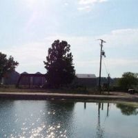 Affordable Duck and Deer Hunting in Arkansas