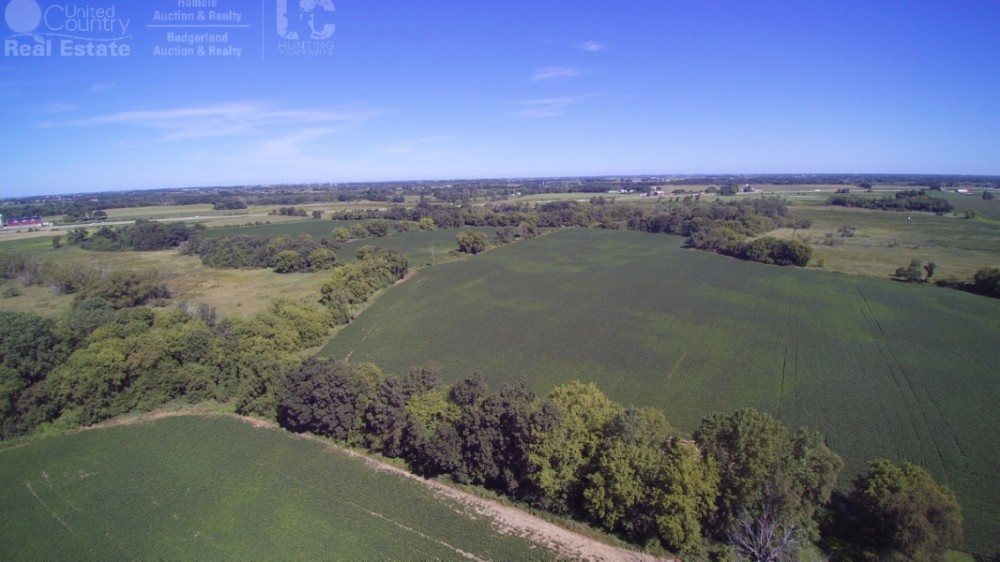 Tillable Hunting Land For Sale-Dodge County featured image