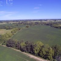 Tillable Hunting Land For Sale-Dodge County