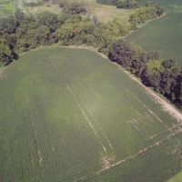 Tillable Hunting Land For Sale-Dodge County images 2