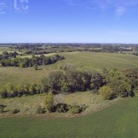 Tillable Hunting Land For Sale-Dodge County images 3