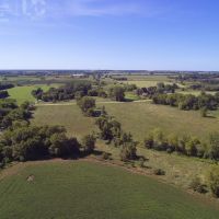 Tillable Hunting Land For Sale-Dodge County images 4